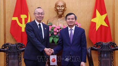 Podpora vietnamsko-japonské spolupráce v oblasti rozvoje vůdčích a manažerských lidských zdrojů.