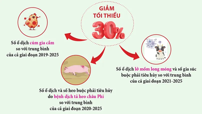 [INFOGRAPHICS] ແຜນແຫ່ງຊາດເພື່ອປ້ອງກັນ ແລະ ຄວບຄຸມໄຂ້ຫວັດສັດປີກ, ພະຍາດປາກເປື່ອຍ, ແລະ ໄຂ້ໝູອາຟຣິກາ, 2026-2030