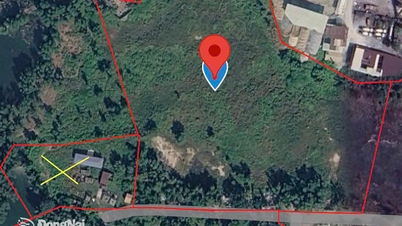 Kota Dong Nai menawarkan sewa jangka pendek untuk 10 bidang tanah komersial dan jasa.