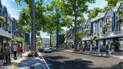Eurowindow Central Avenue: Centraal gelegen vastgoed - Een garantie voor luxe wonen en investeren.