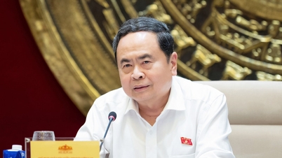 Chủ tịch Quốc hội Trần Thanh Mẫn chủ trì phiên họp Thường trực Ban Chỉ đạo về tổng rà soát hệ thống văn bản quy phạm pháp luật