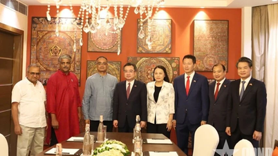 Quan hệ Ấn Độ-Việt Nam rất tốt đẹp, không ngừng được củng cố và phát triển