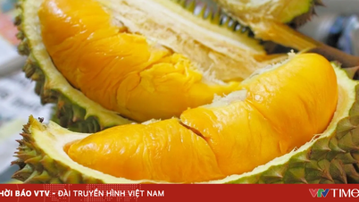 Thái Lan siết chặt kiểm soát chất lượng sầu riêng xuất khẩu