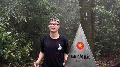 Les activités d'alpinisme à Tam Dao sont temporairement suspendues.
