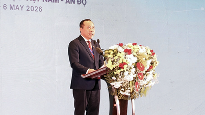 Vietnam a Indie vstupují do fáze podstatnější, rozsáhlejší a efektivnější spolupráce.
