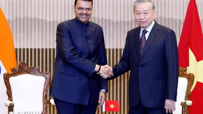 Genel Sekreter ve Başkan To Lam, Hindistan'ın Maharashtra Eyaleti Başbakanını kabul etti.