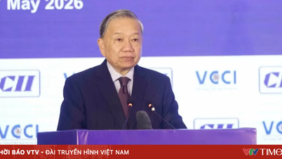 Vietnam e India amplían su comercio de forma equilibrada y sostenible.