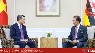 Menerapkan Kemitraan Komprehensif Vietnam-Brunei secara efektif.