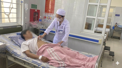 Ministerul Sănătății solicită verificarea incidentului de otrăvire cu cicade din Quang Tri.