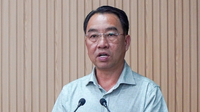 Ca Mau reconnaît franchement ses limites après un an de mise en œuvre du système gouvernemental à deux niveaux.