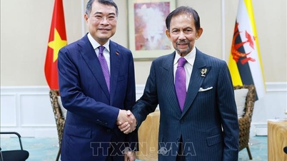 Renforcement des relations amicales et de la coopération entre le Vietnam, les pays de l'ASEAN et la Banque asiatique de développement.