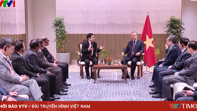 Vietnamul salută cooperarea cu corporațiile indiene de top.