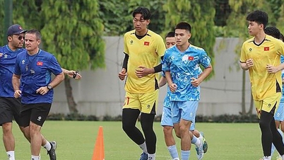 Die vietnamesische U19-Nationalmannschaft wird bei der Südostasiatischen U19-Meisterschaft 2026 in derselben Gruppe wie Indonesien spielen.