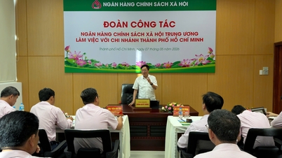 A filial da Cidade de Ho Chi Minh do Banco de Políticas Sociais do Vietnã maximiza a eficácia do capital político.