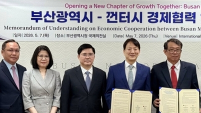 ドアン・フオン・ラン総領事は、カントー市と韓国釜山市との間の経済協力に関する覚書調印式に出席した。
