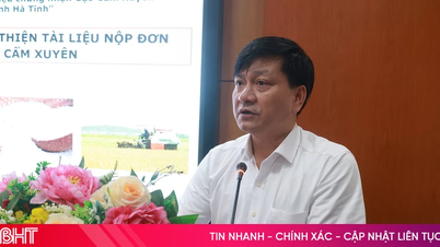 Cadangan untuk menambah baik dossier permohonan bagi tanda dagangan pensijilan "Cam Xuyen Rice".