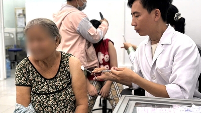 Bệnh dại có tỉ lệ tử vong gần 100% khi phát bệnh, ngành y tế TP.HCM nêu biện pháp