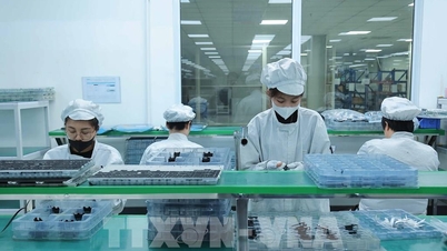 Migliorare l'efficacia della prevenzione e della risoluzione delle controversie internazionali in materia di investimenti.