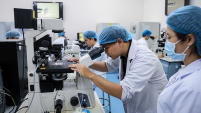 Vietnam üniversitelerinin 2045-2050 yılları arasında dünyanın en iyi 300 üniversitesi arasında yer almasını sağlamak.