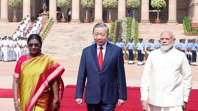 Überblick über den Staatsbesuch von Generalsekretär und Präsident To Lam in Indien
