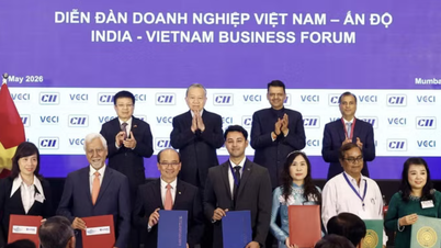 Tổng Bí thư, Chủ tịch nước Tô Lâm thăm Mumbai: Doanh nghiệp Việt - Ấn trao 27 thỏa thuận hợp tác