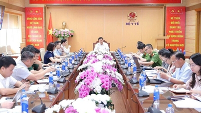 প্রতিটি স্তরে খাদ্য নিরাপত্তা সম্পর্কিত রাষ্ট্রীয় বিষয়াবলী সংগঠিত ও পরিচালনা করার জন্য একটি মডেল প্রস্তাব করুন, যেখানে একজন সমন্বিত যোগাযোগ কর্মকর্তা থাকবেন।