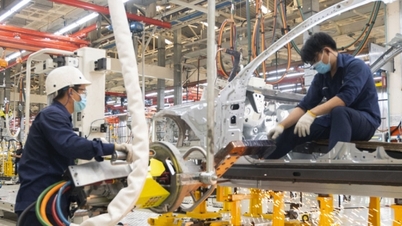 Înființarea unei echipe de redactare și a unei echipe editoriale pentru a elabora Legea privind industriile cheie.