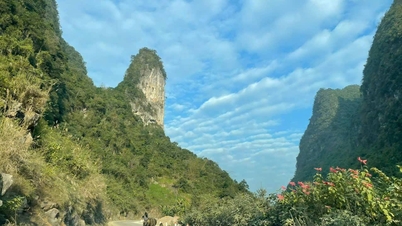 Ferramentas para melhorar a eficácia da gestão estatal na construção civil no âmbito do Programa Nacional de Metas para o Novo Desenvolvimento Rural, giai đoạn 2026 - 2030