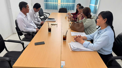 EL SUBDEPARTAMENTO DE DESARROLLO RURAL Y SILVICULTURA REALIZA UN ESTUDIO DE CAMPO SOBRE LA PRODUCCIÓN DE SAL EN EL DISTRITO DE VINH PHUOC Y LA COMUNIDAD DE LAI HOA.