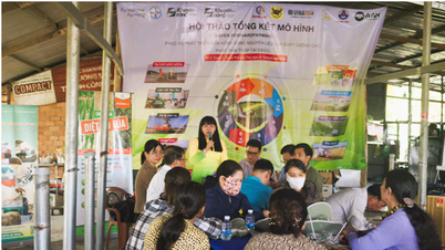 Can Tho: Taller para evaluar modelos de cultivo de arroz de alta calidad y bajas emisiones vinculados al proyecto de 1 millón de hectáreas.