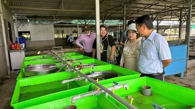 Una delegación de la Academia Nacional de Política de Ho Chi Minh realiza un estudio sobre el crecimiento verde en Can Tho.