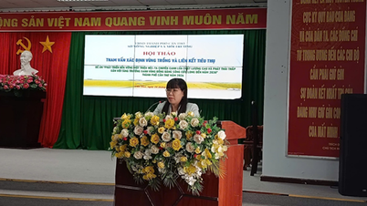Directrices para las organizaciones y personas que participan en el proyecto “Desarrollo sostenible de un millón de hectáreas de cultivo de arroz de alta calidad y bajas emisiones, asociado al crecimiento verde en el delta del Mekong para 2030” en la ciudad de Can Tho.