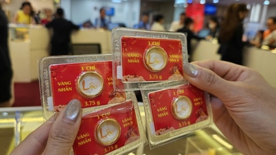 Na manhã de 8 de maio, o preço das barras de ouro SJC era 17 milhões de VND/onça superior ao preço mundial do ouro.