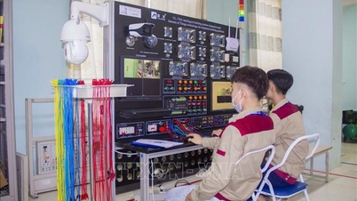 קביעת תנאים להבטחת איכות במוסדות להשכלה מקצועית.