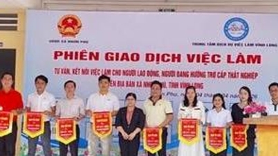 Vinh Long : Fourniture de conseils et de services de placement pour les travailleurs et les bénéficiaires d'allocations chômage.