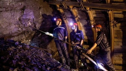 Het maximaliseren van de effectiviteit van mechanisatie bij tunnelbouw.