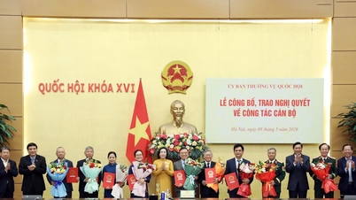 Vice Chairwoman of the National Assembly Nguyen Thi Thanh attended the ceremony to announce and present the Resolution of the Standing Committee of the National Assembly on personnel work.