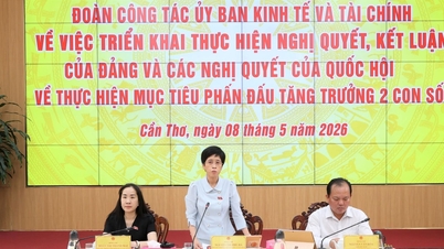 คณะทำงานของคณะกรรมการเศรษฐกิจและการคลังได้เข้าพบกับคณะกรรมการประชาชนเมืองเกิ่นโถ