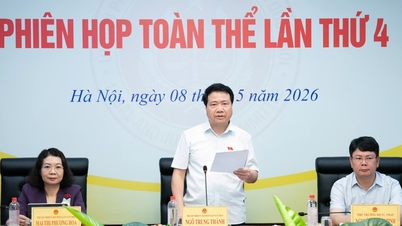 Ủy ban Pháp luật và Tư pháp họp phiên toàn thể lần thứ 4