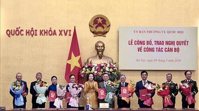 A vice-presidente da Assembleia Nacional, Nguyen Thi Thanh, participou da cerimônia para anunciar e apresentar a Resolução da Comissão Permanente da Assembleia Nacional sobre assuntos de pessoal.