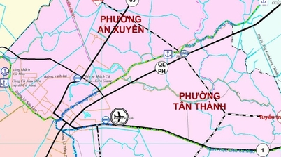 Projet de modernisation de l'aéroport de Ca Mau (2 400 milliards de VND) : Accélérer les progrès et remédier aux incidents environnementaux
