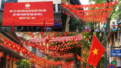 Hà Nội rực rỡ cờ hoa chào mừng Đại hội đại biểu toàn quốc Mặt trận Tổ quốc Việt Nam lần thứ XI