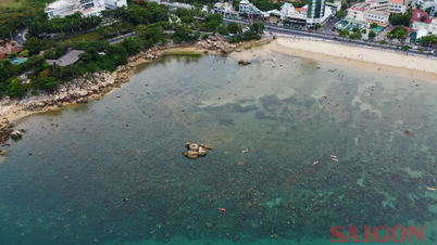 Aviso sobre o risco de pisoteio em recifes de coral perto das margens da Baía de Nha Trang.