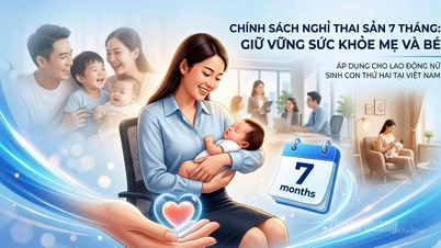 Lao động nữ sinh con thứ hai được nghỉ chế độ 7 tháng