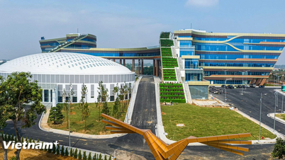 Vietnam en de Verenigde Staten bevorderen geavanceerde energie voor strategische technologieën.