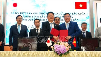 Tay Ninh promuove una cooperazione multiforme con la prefettura di Yamanashi, in Giappone.