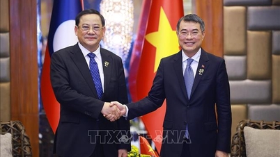 Başbakan Le Minh Hung, Laos Başbakanı Sonexay Siphandone ile görüştü.
