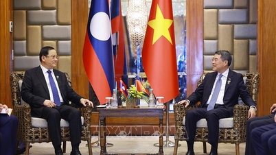 Laos ve Vietnam Başbakanları ikili iş birliğini güçlendirme konusunu görüştüler.