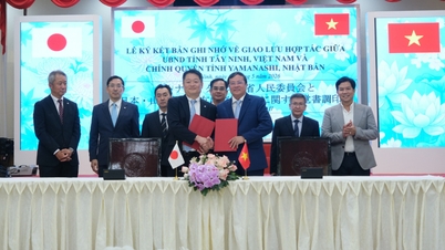 Tay Ninh undertecknar samarbetsavtal med Yamanashi-provinsen (Japan)
