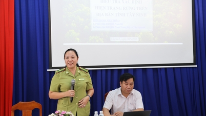 Tay Ninh implementează un studiu privind starea pădurilor pentru a sprijini transformarea digitală și dezvoltarea durabilă a silviculturii.